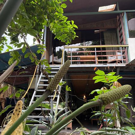 Hotel Organico Punta Riel Cahuita Exterior foto