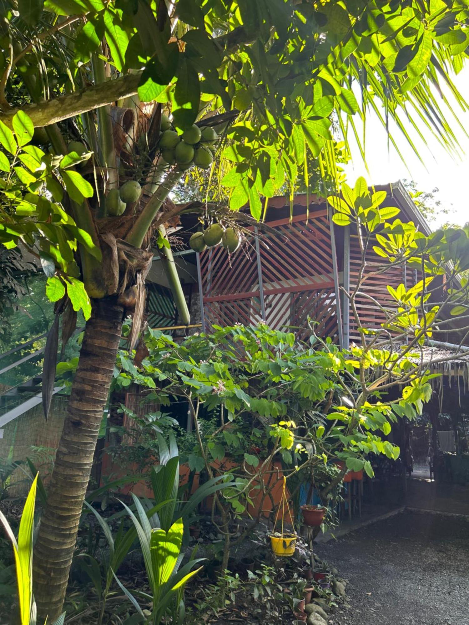 Hotel Organico Punta Riel Cahuita Exterior foto
