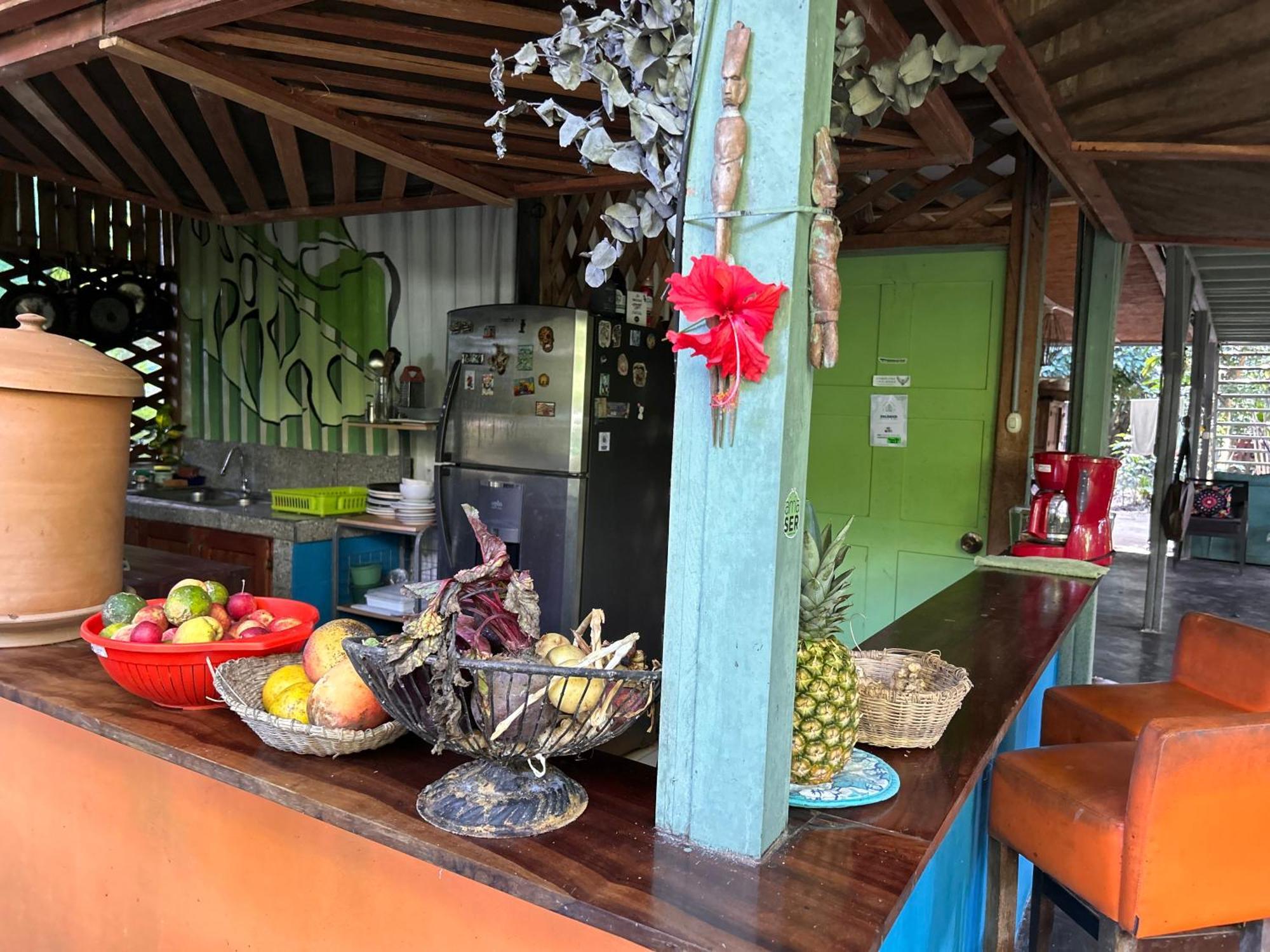 Hotel Organico Punta Riel Cahuita Exterior foto