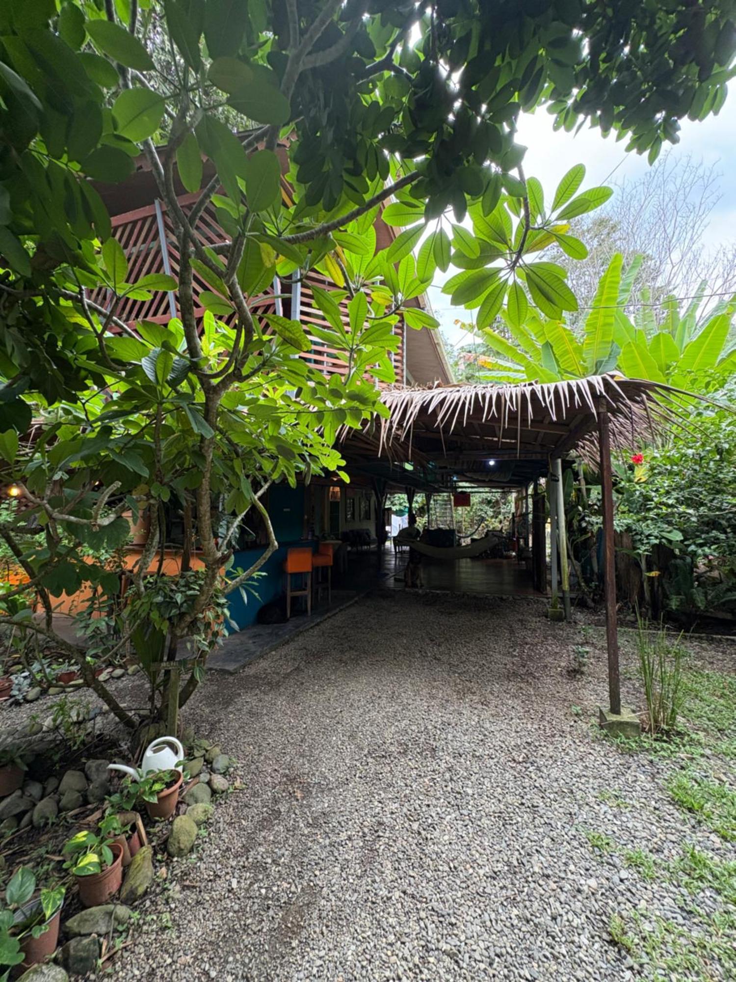 Hotel Organico Punta Riel Cahuita Exterior foto