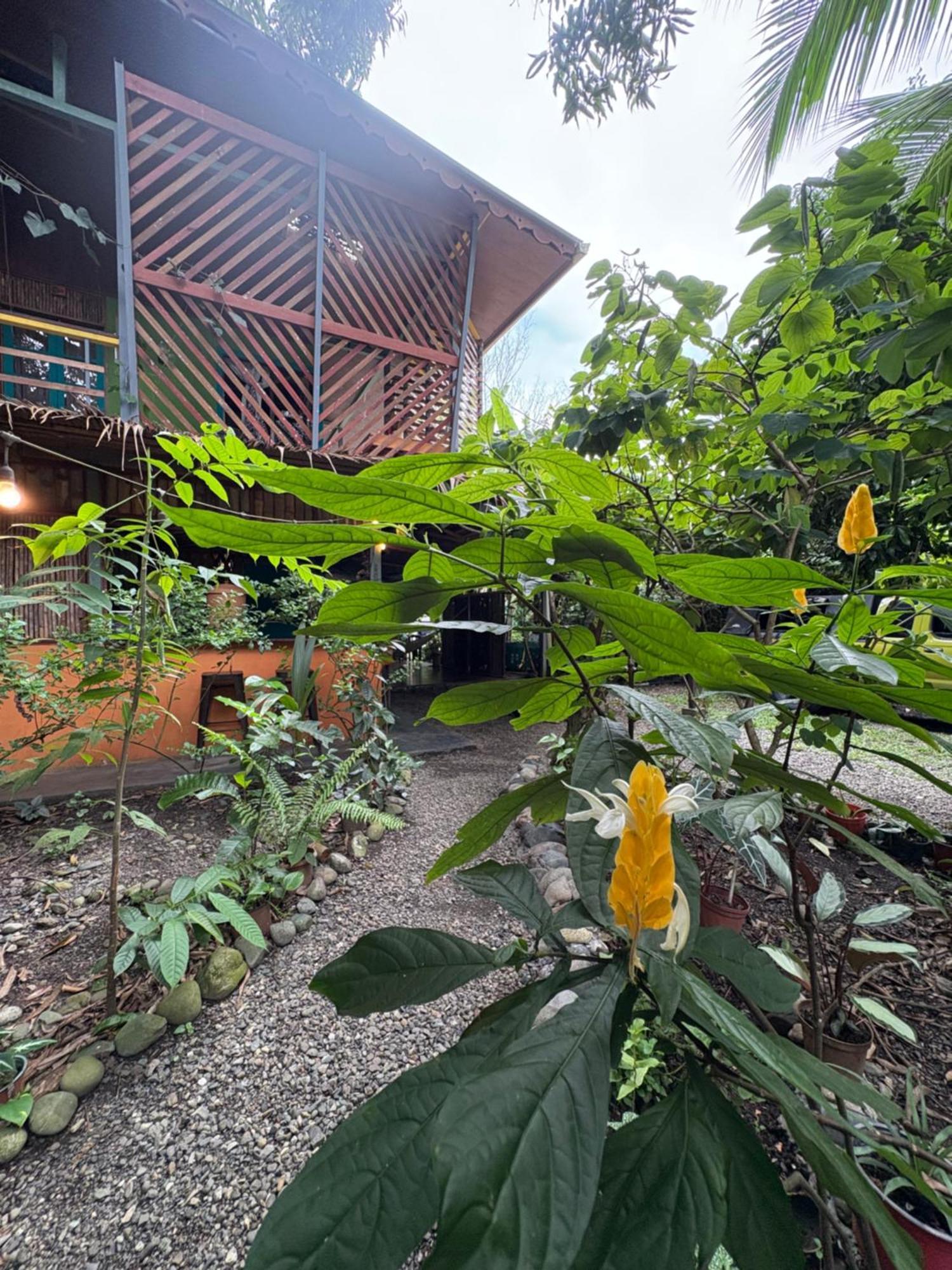 Hotel Organico Punta Riel Cahuita Exterior foto