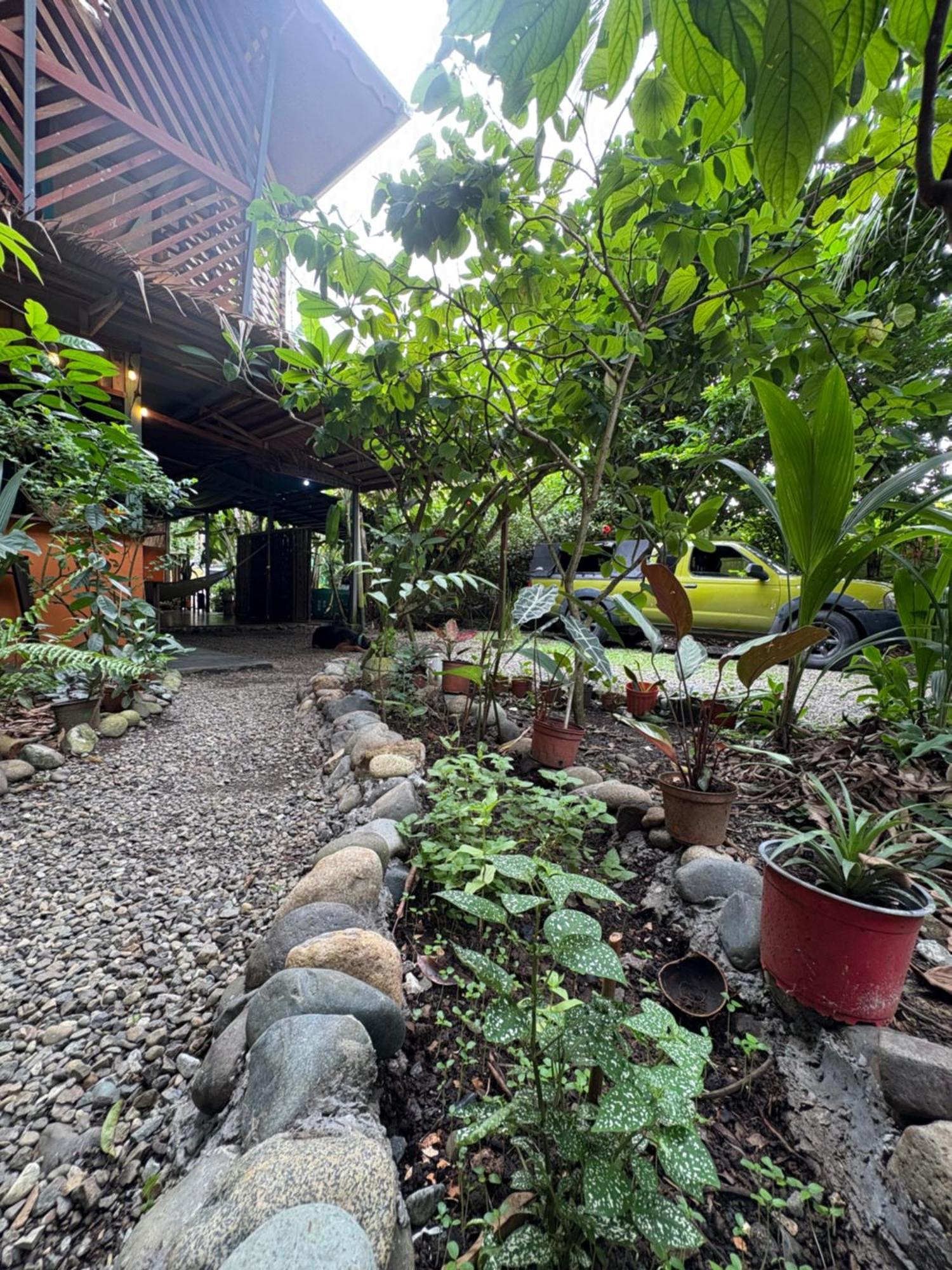 Hotel Organico Punta Riel Cahuita Exterior foto
